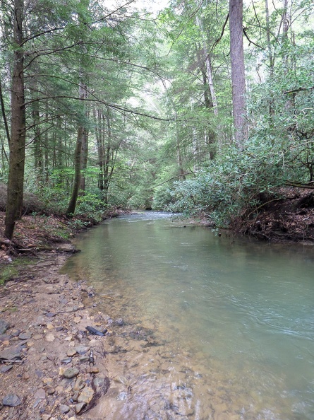 Hawk Creek
